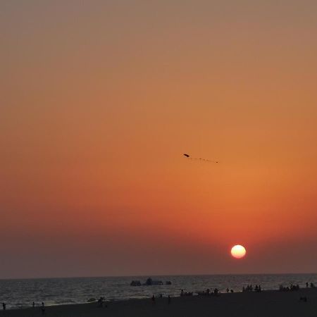 דירות מטלסקנס Entre Pinos Y Playa מראה חיצוני תמונה