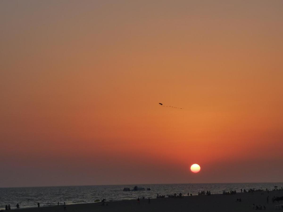 דירות מטלסקנס Entre Pinos Y Playa מראה חיצוני תמונה