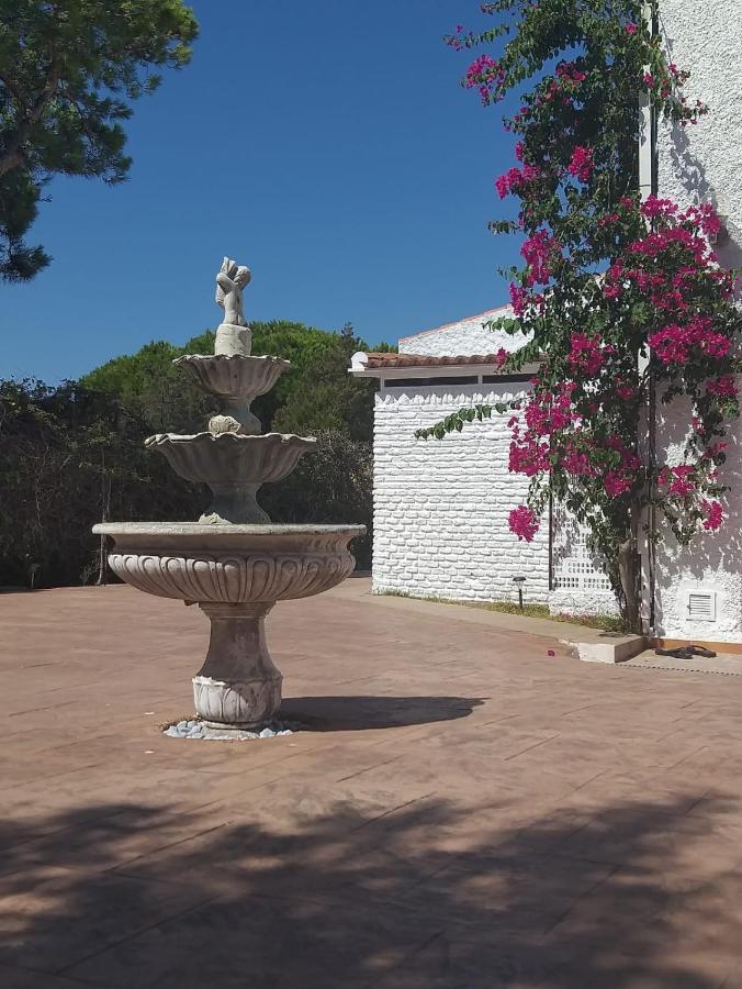 דירות מטלסקנס Entre Pinos Y Playa מראה חיצוני תמונה